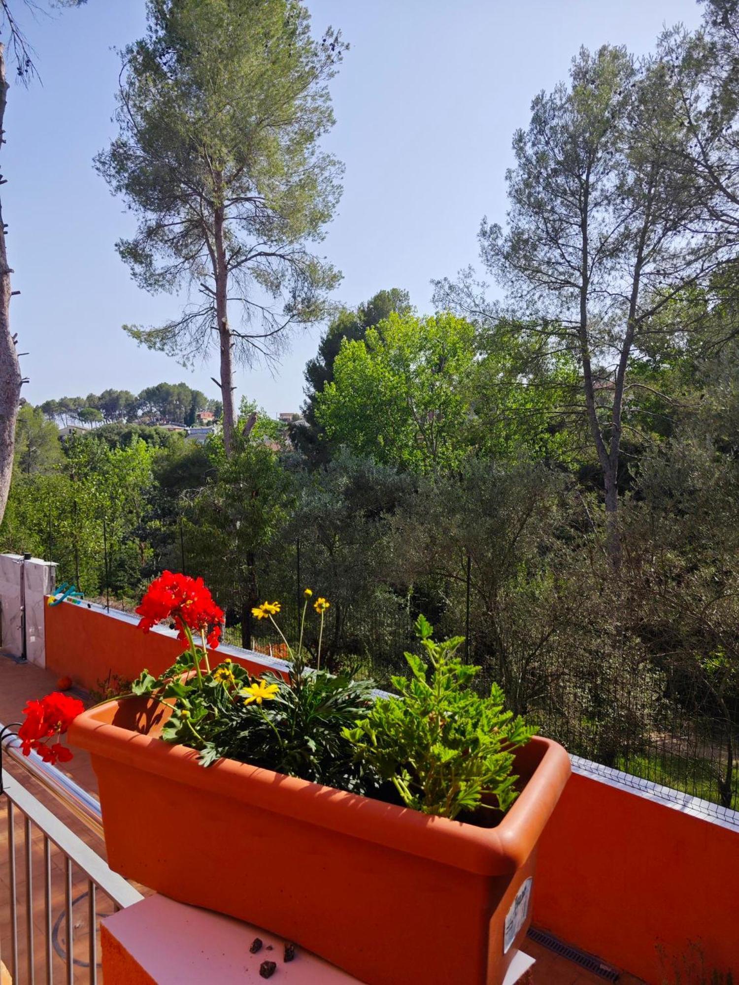 Relax House Barcelone Villa Sant Esteve Sesrovires Ngoại thất bức ảnh